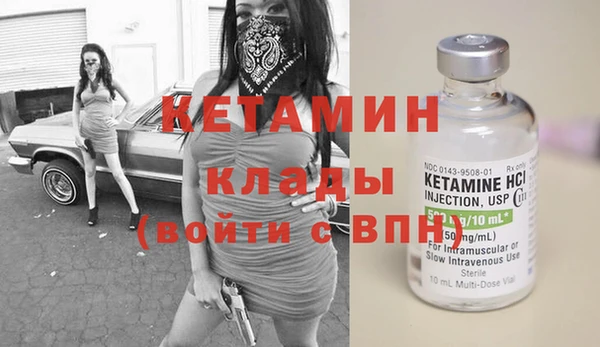 крисы Дмитровск