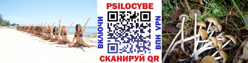 Галлюциногенные грибы мицелий  Купить  Курильск 